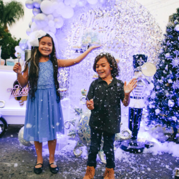 Lighting & Snow<br>
818 Rentals <br>
coming soon