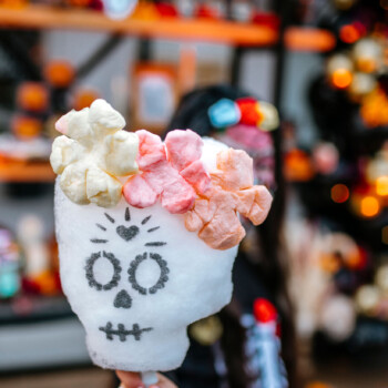 Cotton Candy Skulls<br>
Twisted for Sugar<br>
coming soon Cotton Candy Skulls Twisted for Sugar